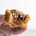 Adorable Shell Cookies How to Make Them