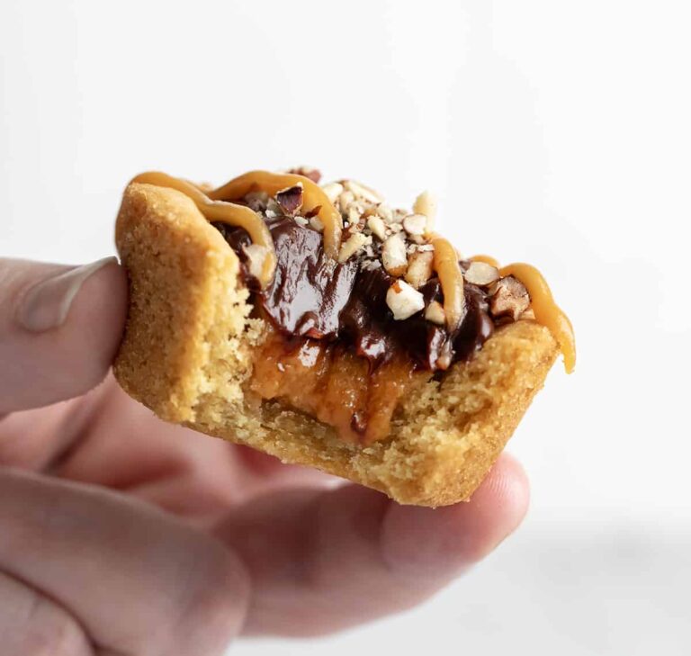 Adorable Shell Cookies How to Make Them