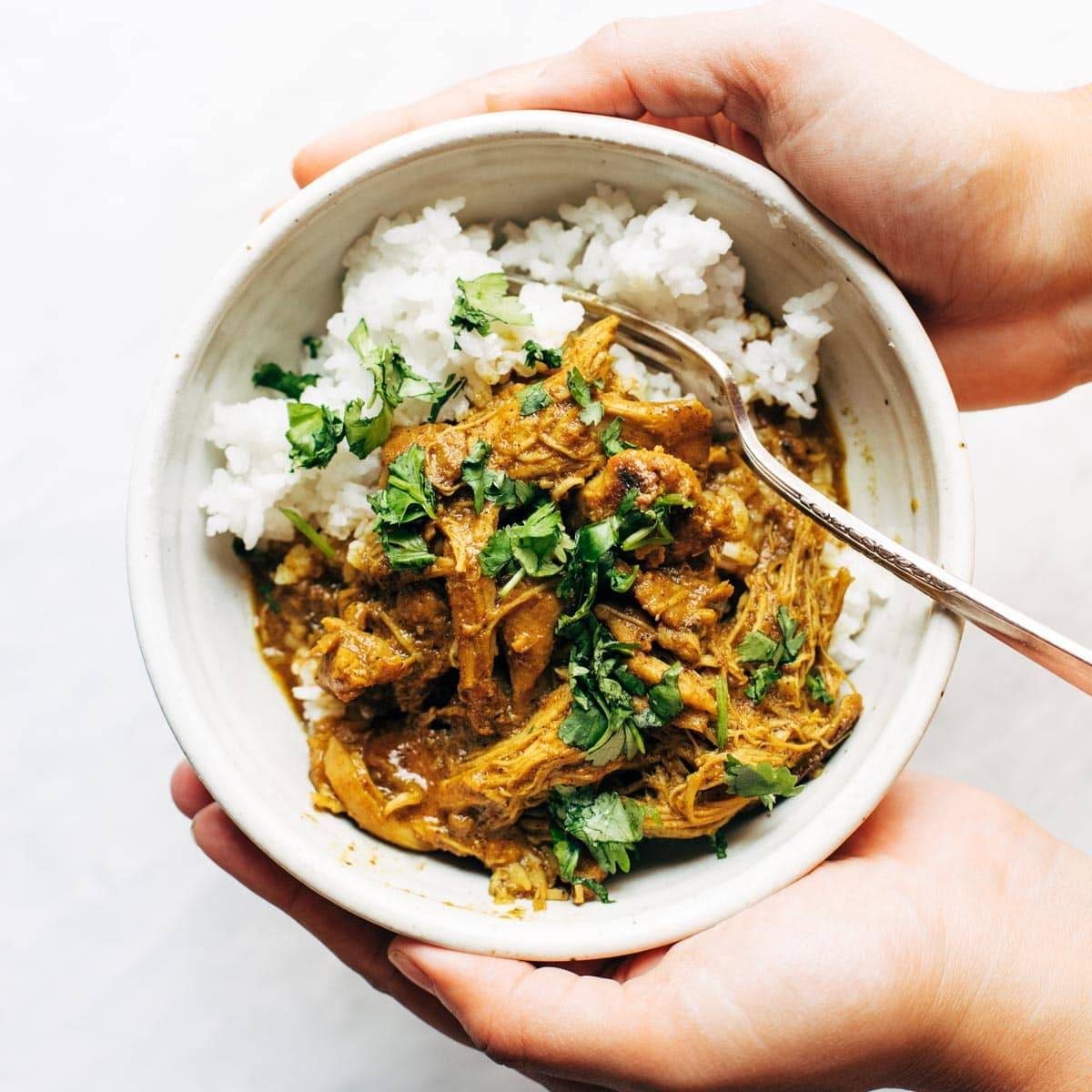 Instant Pot chicken beautifully presented from an overhead angle
