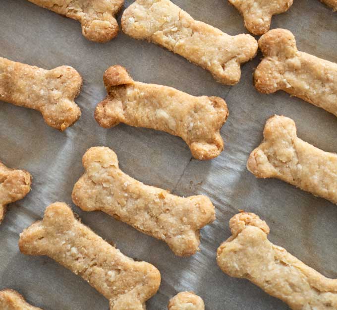 Easy DIY Dog Treats Your Pup Will Love