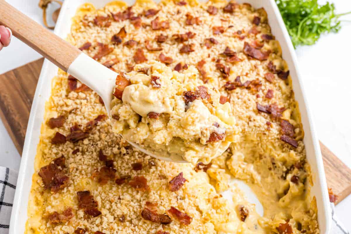 mac and cheese beautifully presented from an overhead angle